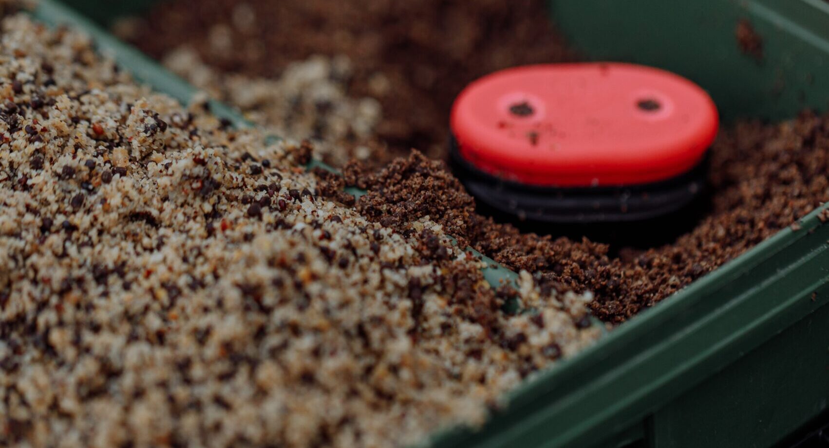 karpervissen met boilies